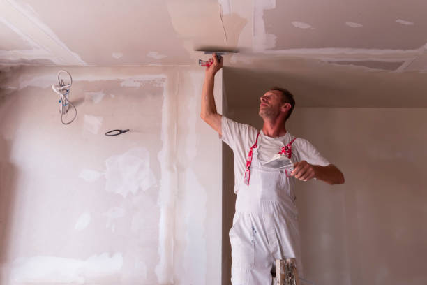 Best Drywall Removal and Disposal  in Waynesboro, TN